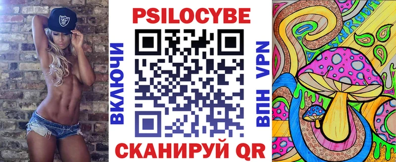 Псилоцибиновые грибы Psilocybe  Чегем 